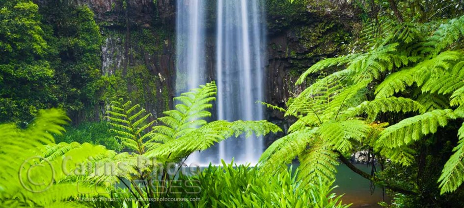 CPC0005-Cairns-Photo-Tour