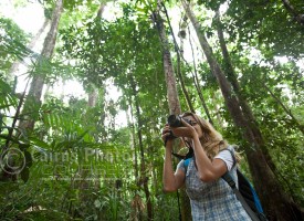Woman taking a photo in rainforest, Mossman Gorge, North Queensland, Australia