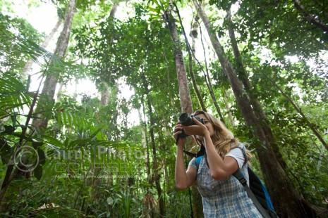 Woman taking a photo in rainforest, Mossman Gorge, North Queensland, Australia