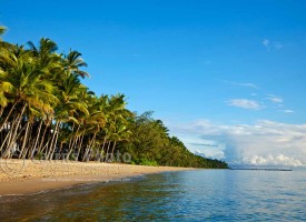 Image of Palm Cove beach at dawn, Cairns, North Queensland, Australia