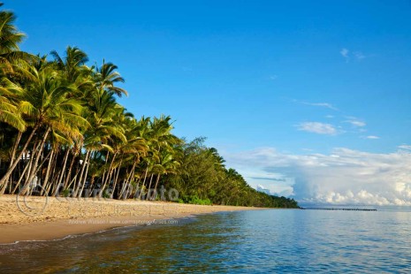 Image of Palm Cove beach at dawn, Cairns, North Queensland, Australia