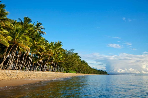 Image of Palm Cove beach at dawn, Cairns, North Queensland, Australia