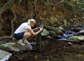 Image of photographer in rainforest creek, Cairns, North Queensland, Australia