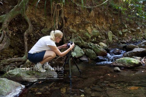 Image of photographer in rainforest creek, Cairns, North Queensland, Australia