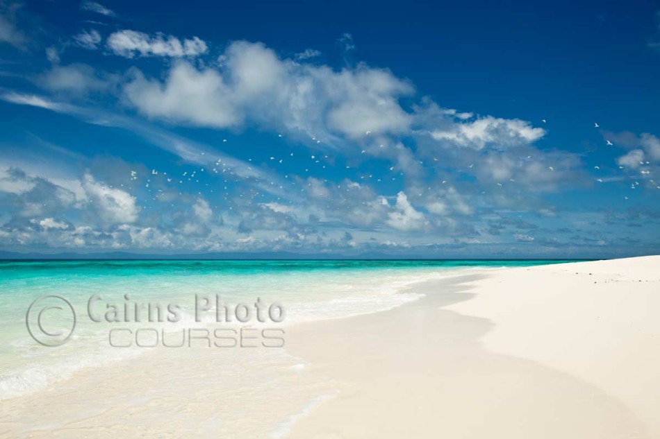 Image of white sand and clear waters of Vlassof Cay, Great Barrier Reef, Cairns, North Queensland, Australia