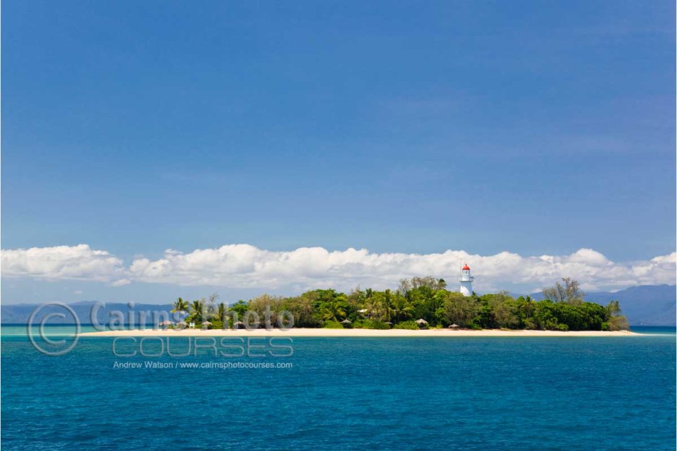 Image of Low Isles coray cay, Great Barrier Reef, Port Douglas, North Queensland, Australia