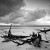 Image of driftwood on shore of Green Island, Great Barrier Reef, Cairns, North Queensland, Australia
