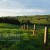 Image of rolling pastures at dawn on the Atherton Tablelands, North Queensland, Australia