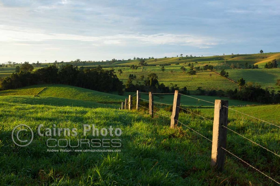 Image of rolling pastures at dawn on the Atherton Tablelands, North Queensland, Australia