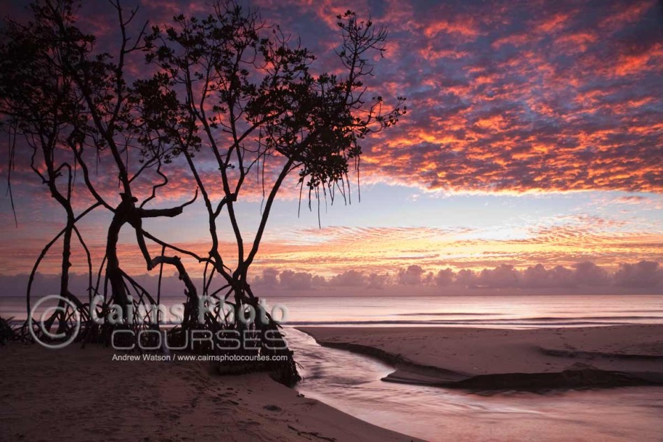 Image of Kewarra Beach at dawn, Cairns, North Queensland, Australia