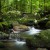 Image of rainforest creek at Mossman Gorge, Daintree National Park, North Queensland, Australia