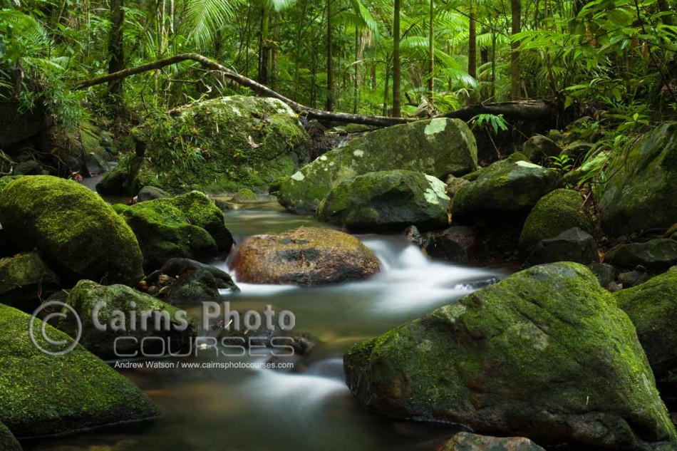 Image of rainforest creek at Mossman Gorge, Daintree National Park, North Queensland, Australia