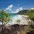 Image of pandanus palms overlooking Noah Beach, Daintree National Park, North Queensland, Australia