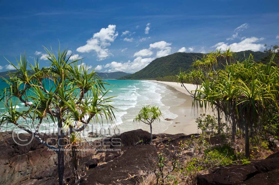 Image of pandanus palms overlooking Noah Beach, Daintree National Park, North Queensland, Australia