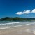 Image of Thornton Beach, Daintree National Park, North Queensland, Australia