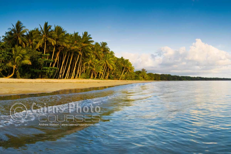 Image of Four Mile Beach at dawn, Port Douglas, North Queensland, Australia