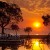 Image of sun rising over coastal mangroves, Port Douglas, North Queensland, Australia
