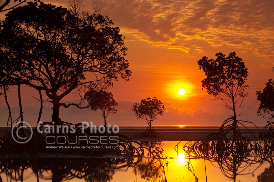 Image of sun rising over coastal mangroves, Port Douglas, North Queensland, Australia